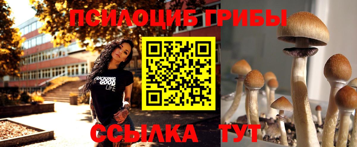 Кубинка  Псилоцибиновые грибы Psilocybe  Вход с VPN 
